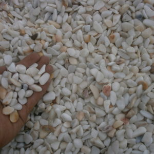 Graviers de Marbre roulé extra blanc
