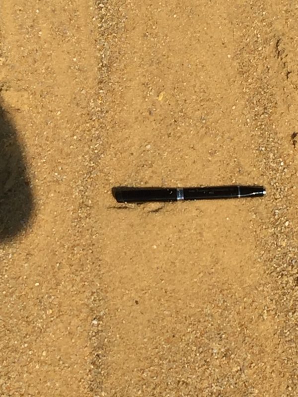 Sable – Image 2
